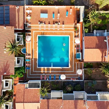 Americas Monkey Apartament