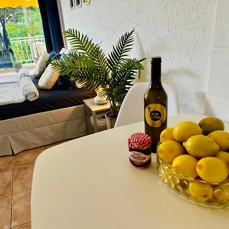 Americas Monkey * Playa de las Américas