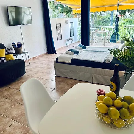 Americas Monkey Apartament