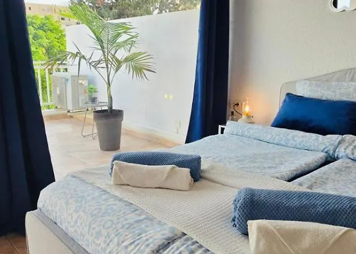 Americas Monkey * Πλάγια ντε λας Αμέρικας